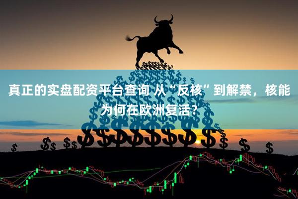 真正的实盘配资平台查询 从“反核”到解禁，核能为何在欧洲复活？