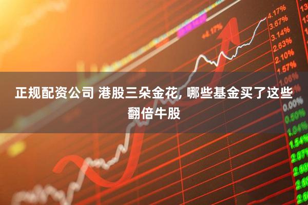 正规配资公司 港股三朵金花, 哪些基金买了这些翻倍牛股
