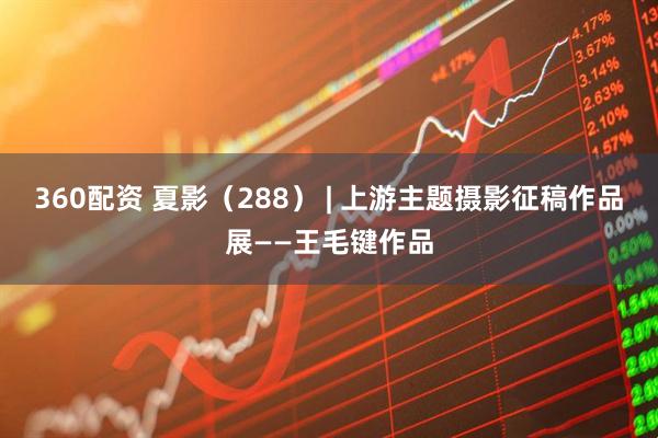 360配资 夏影（288） | 上游主题摄影征稿作品展——王毛键作品